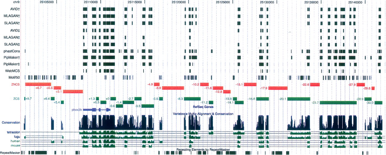 252fig4