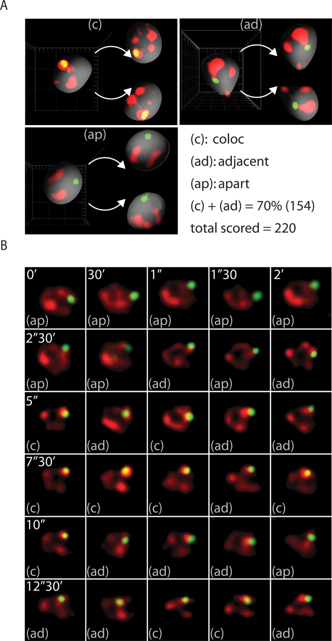 261fig2