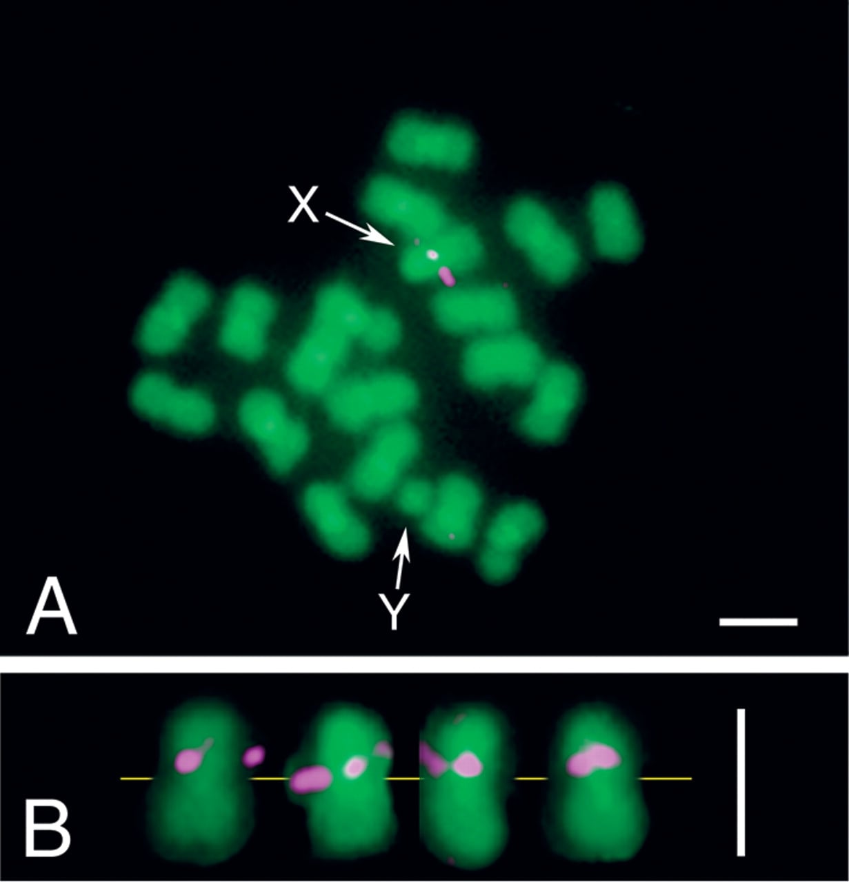 272fig2