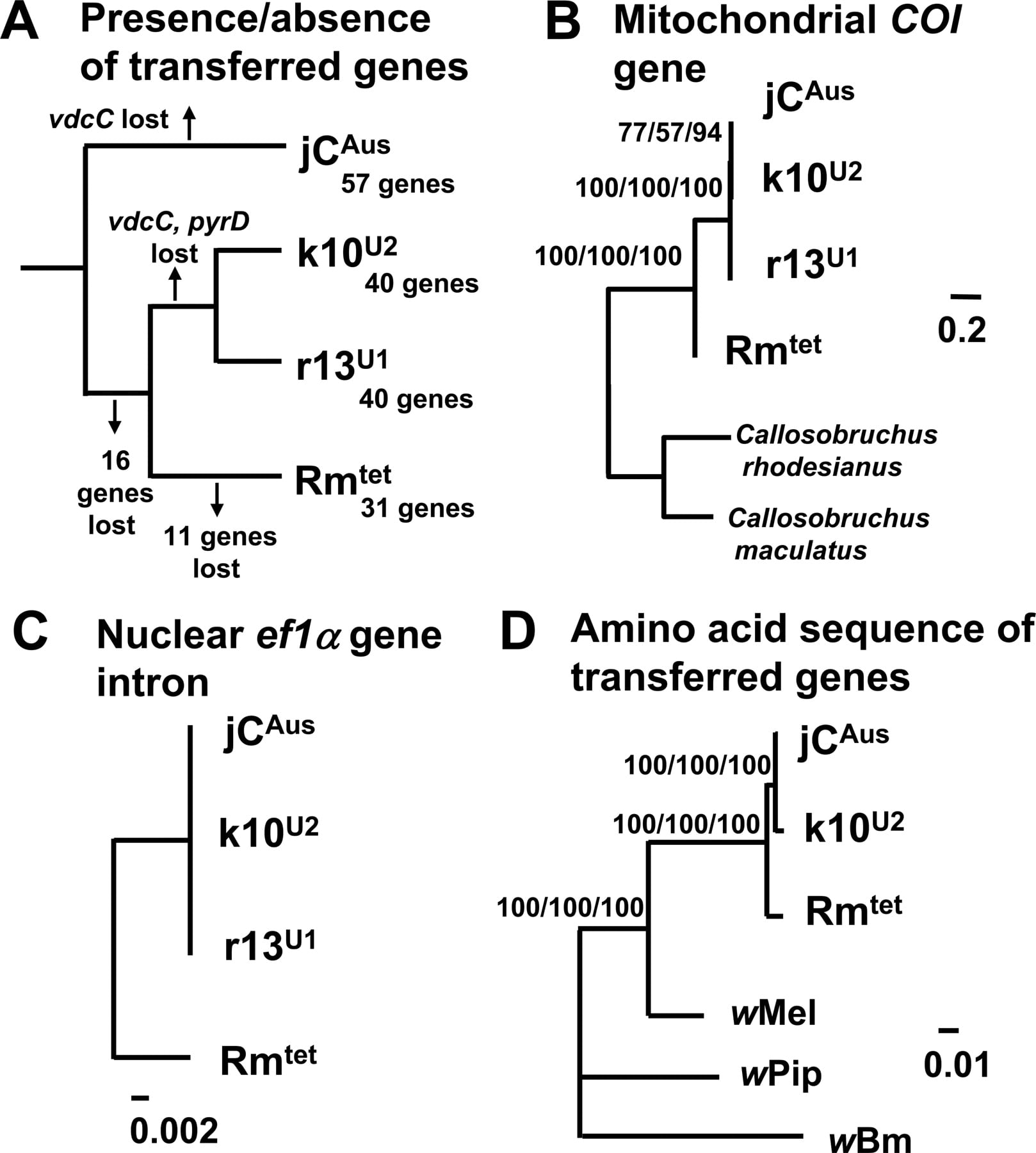 272fig6
