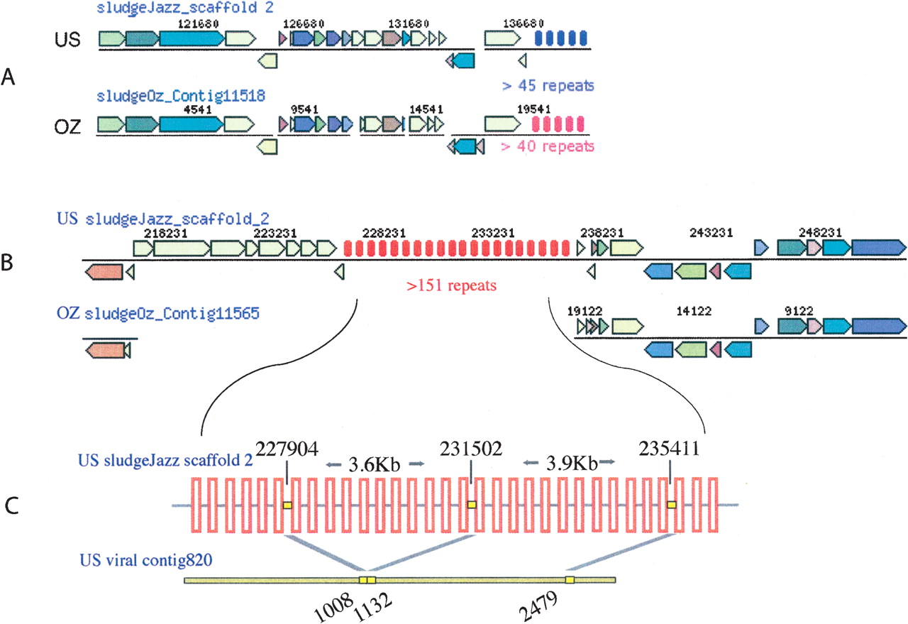 293fig2