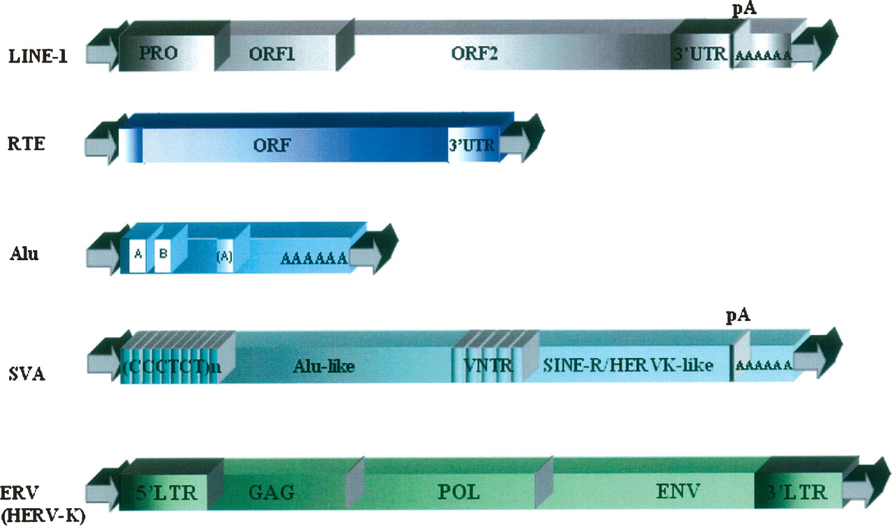 343fig1