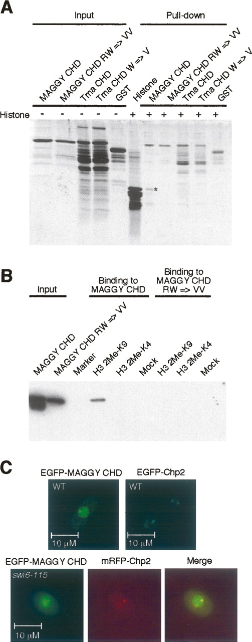 359fig3