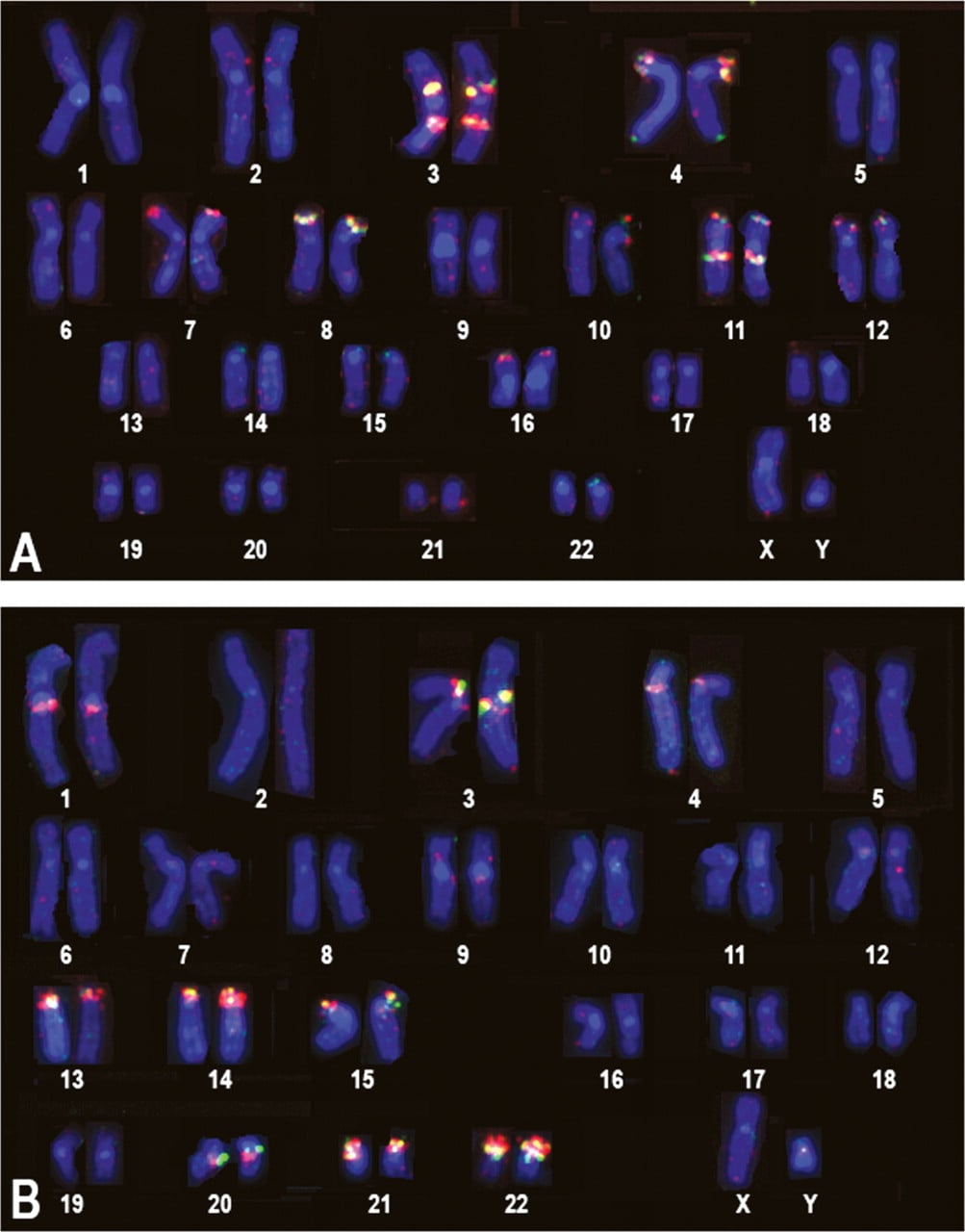 370fig2
