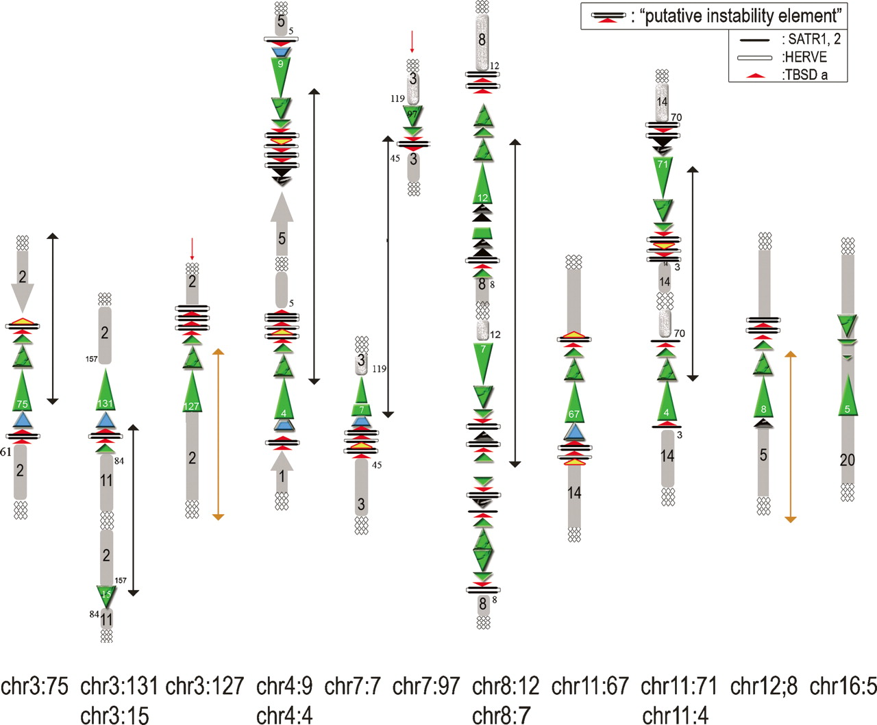 370fig3