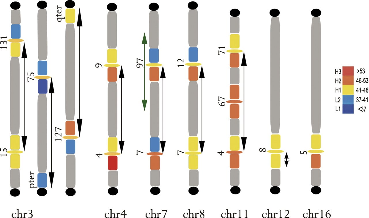 370fig7