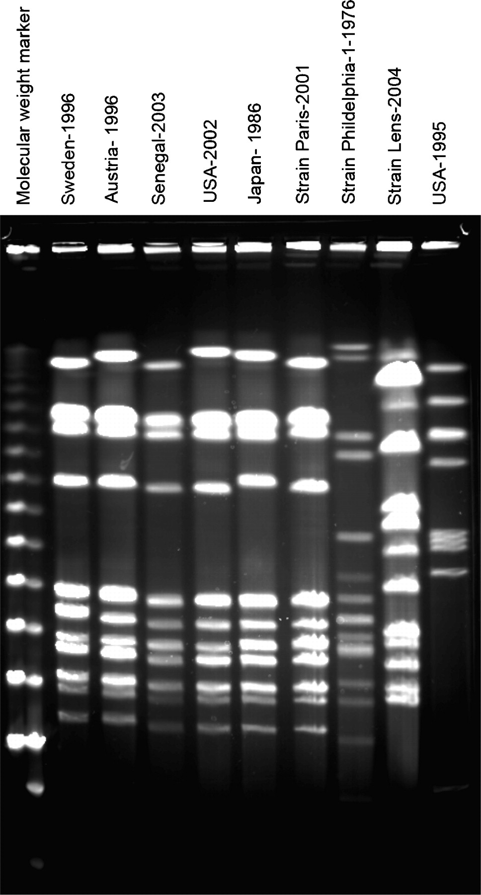431fig4