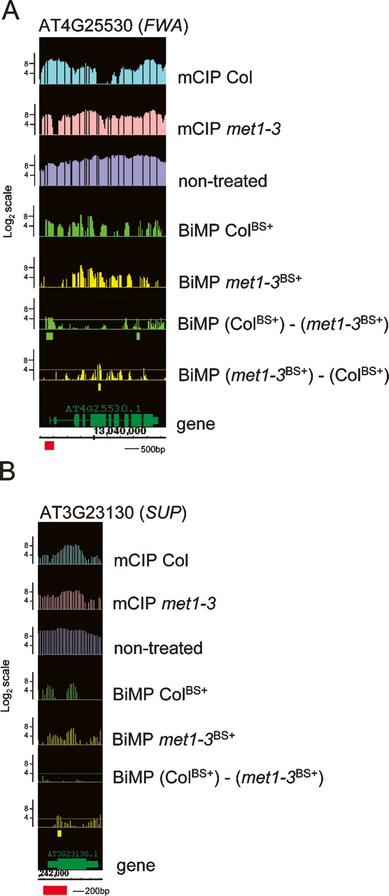 469fig4