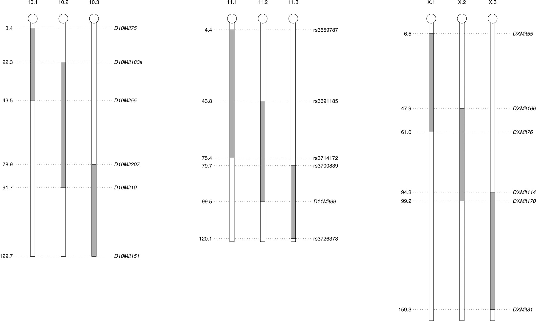 509fig1