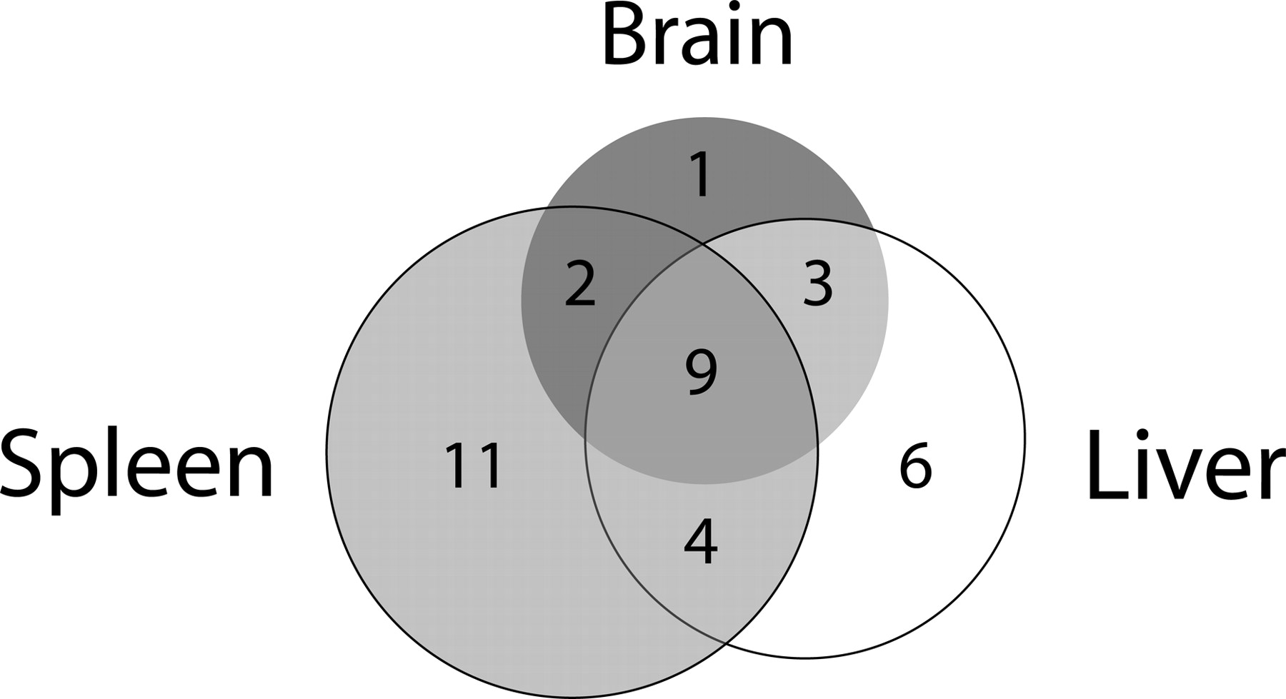 555fig4