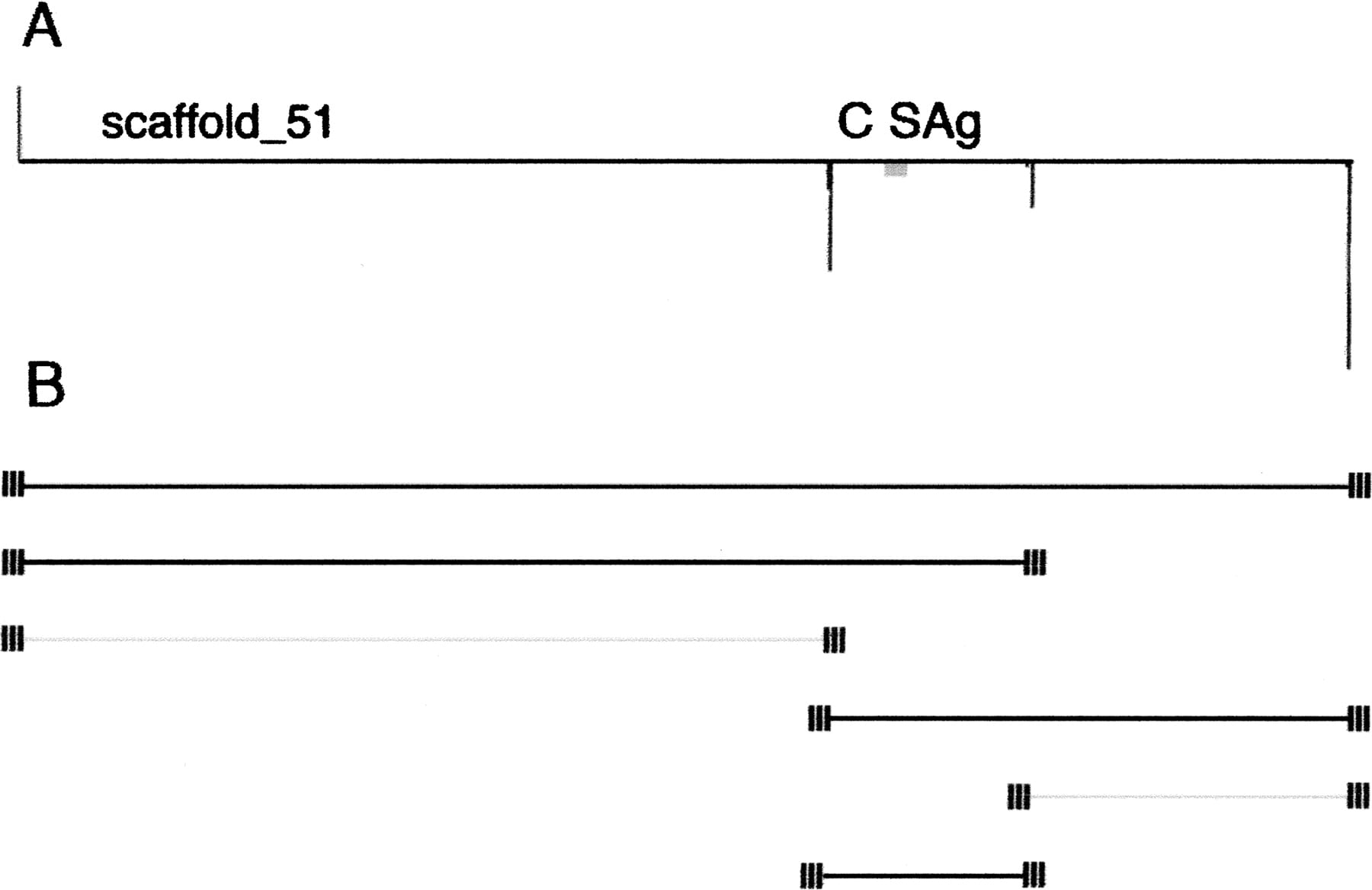 585fig7