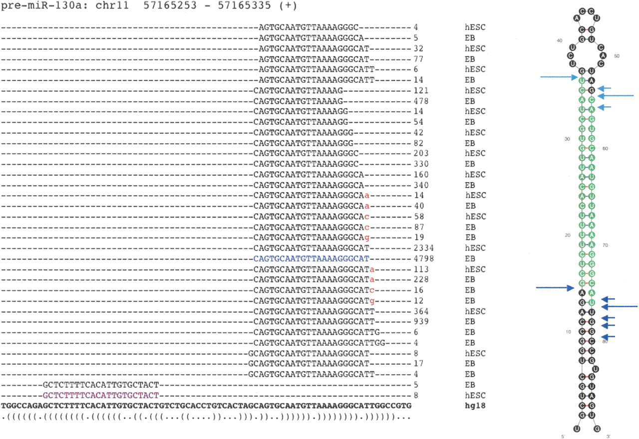 610fig2