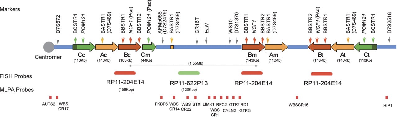 683fig1