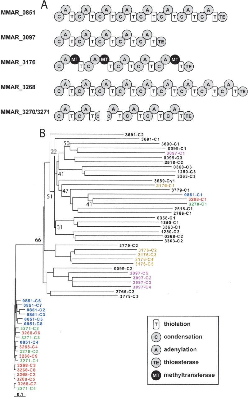 729fig2