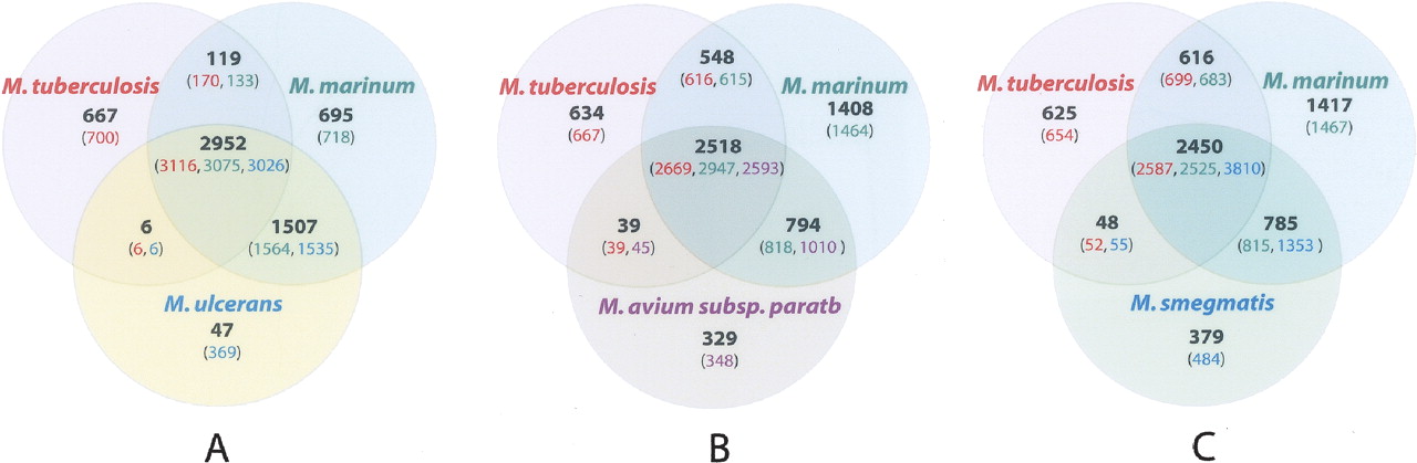 729fig4