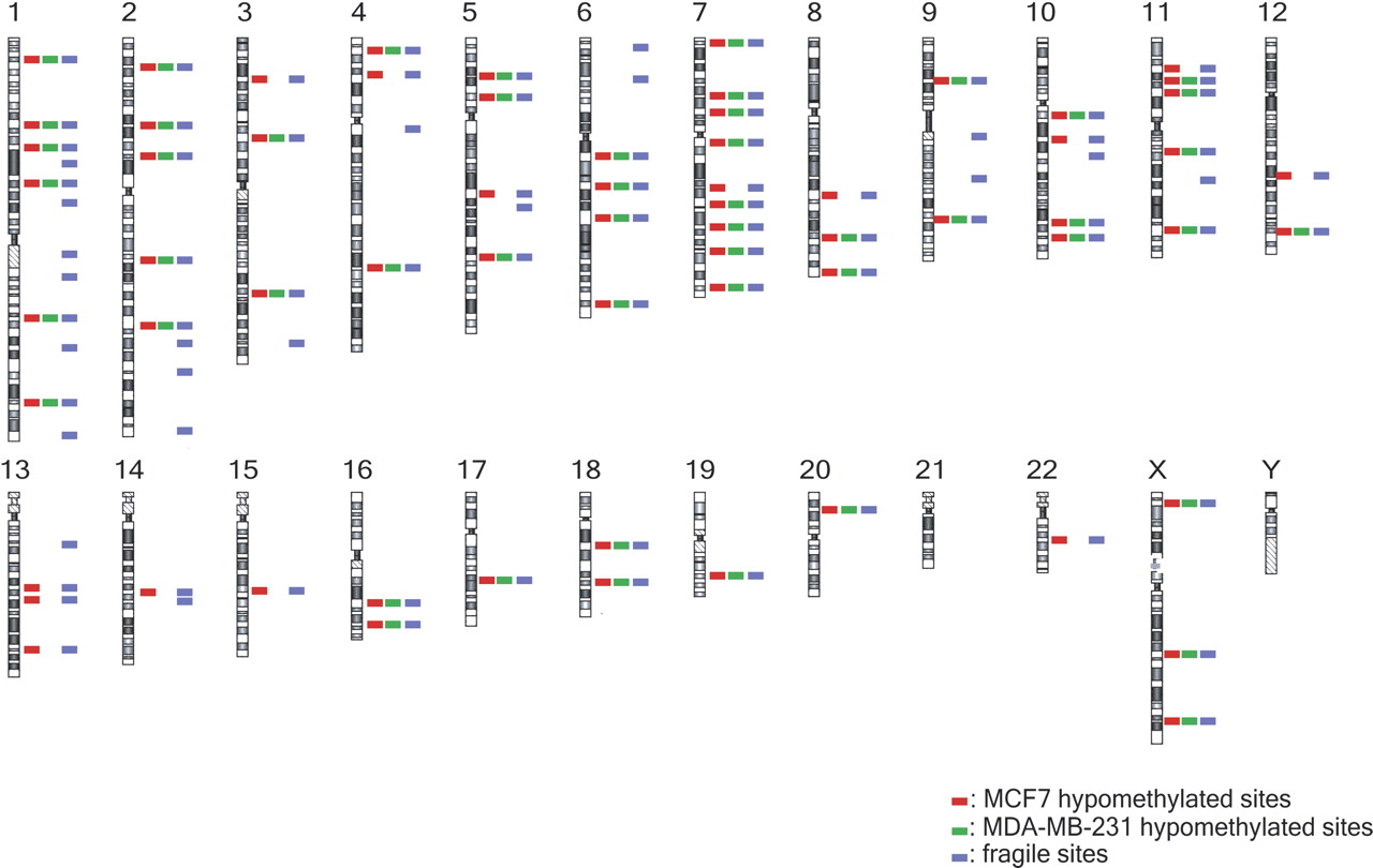 791fig4