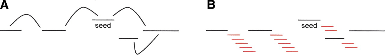 810fig2