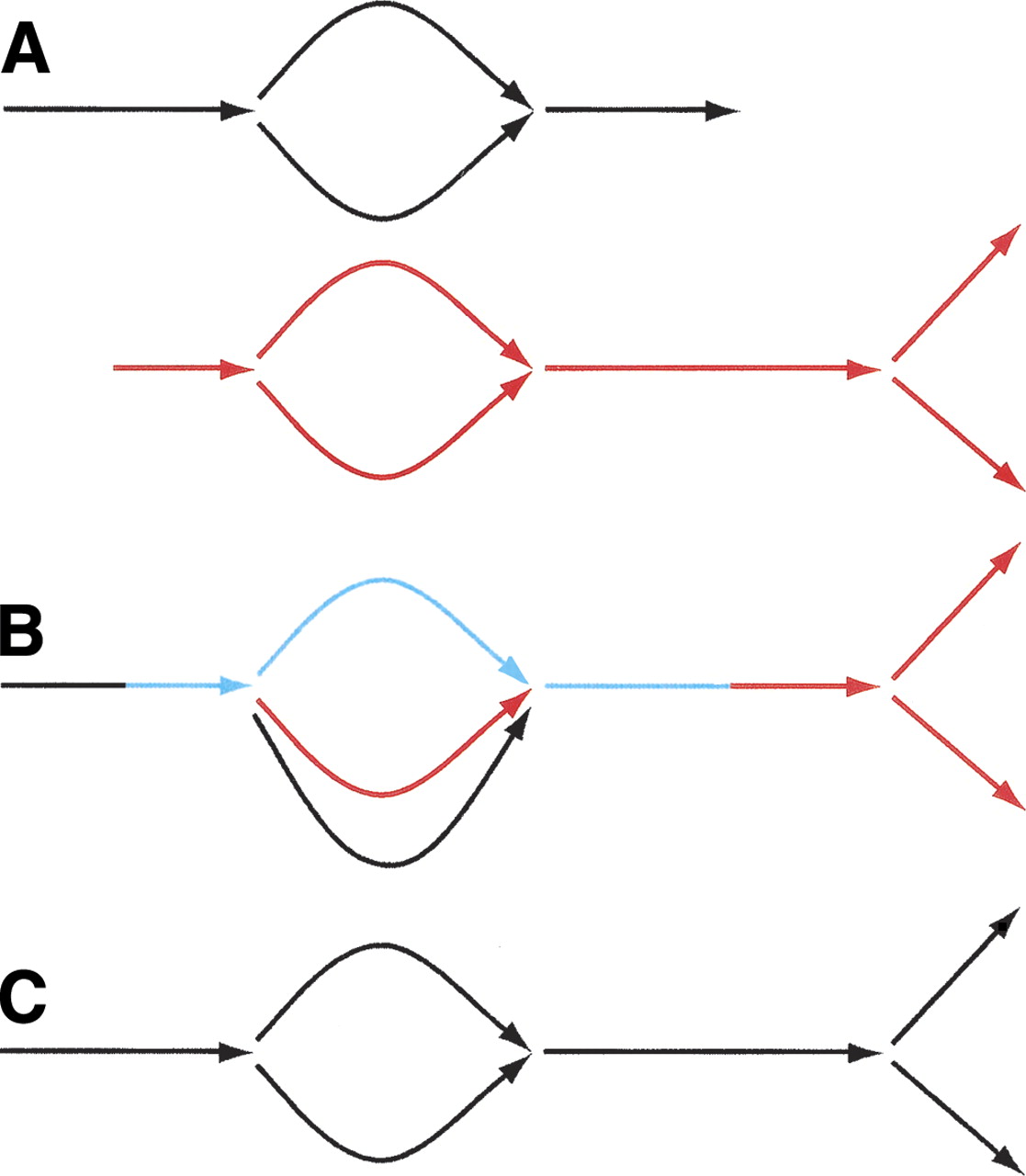 810fig4