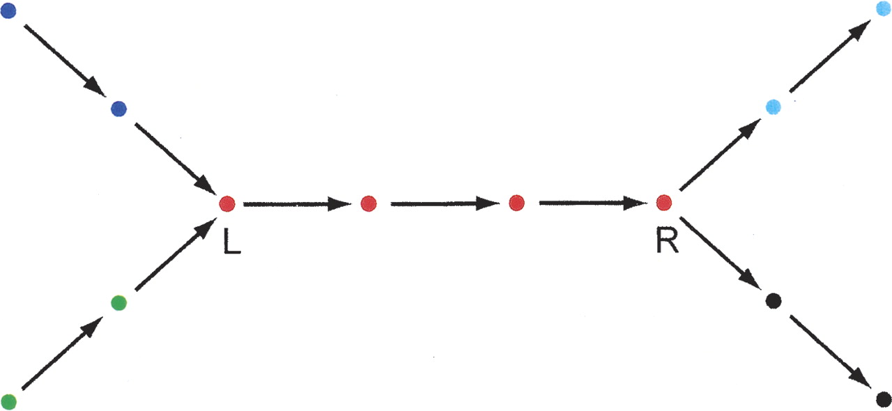810fig7