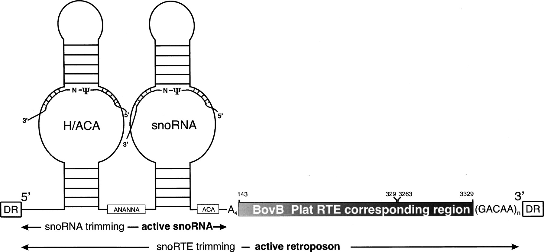 1005fig4