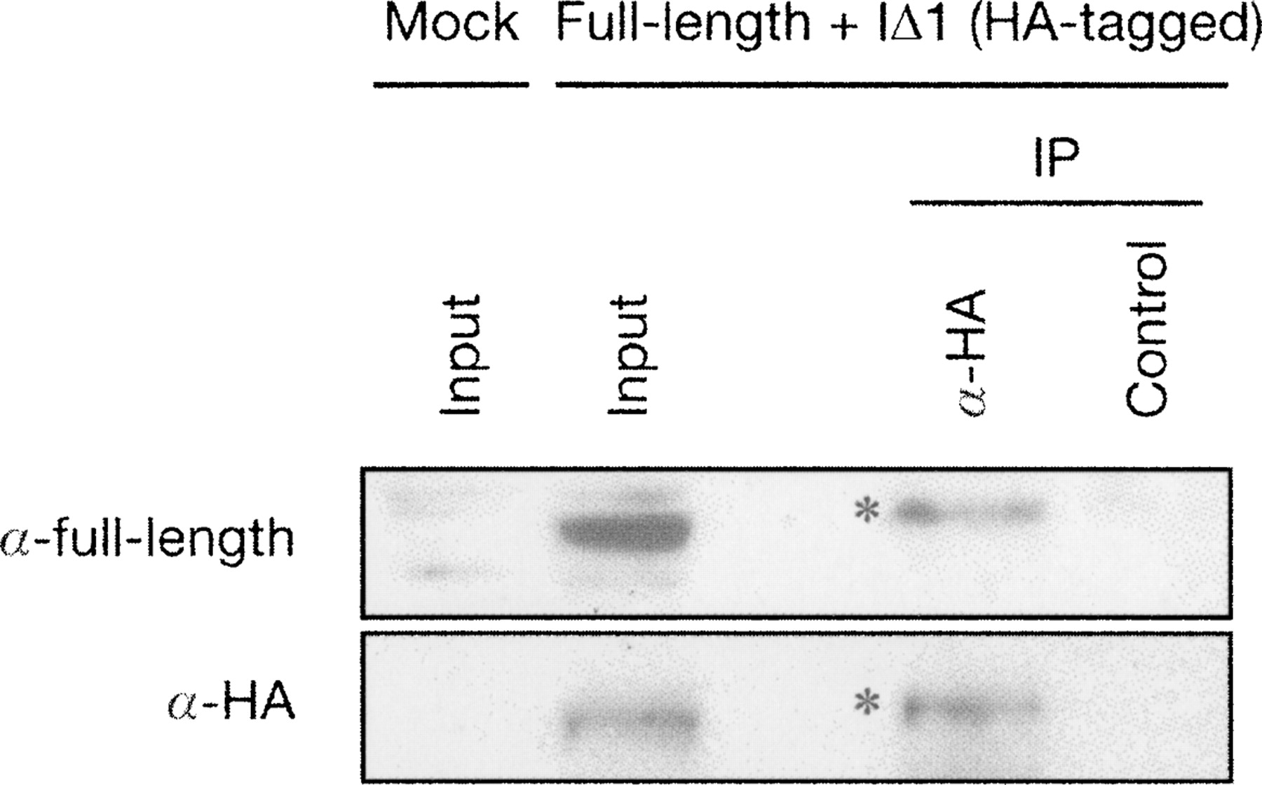 859fig6