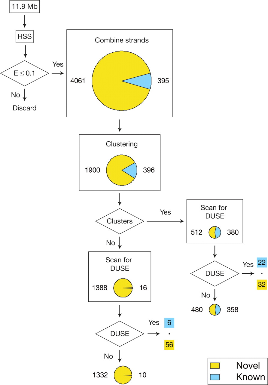 888fig2