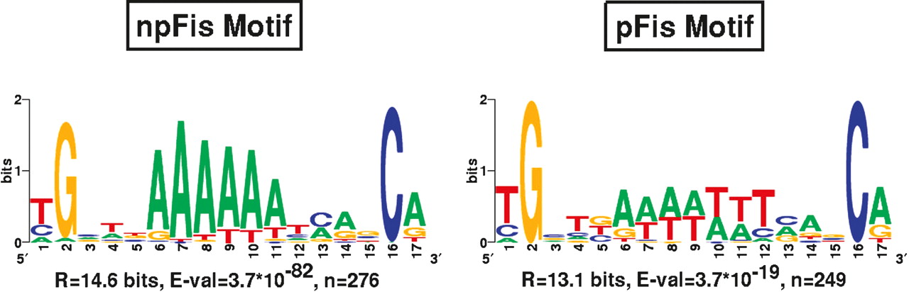 900fig6