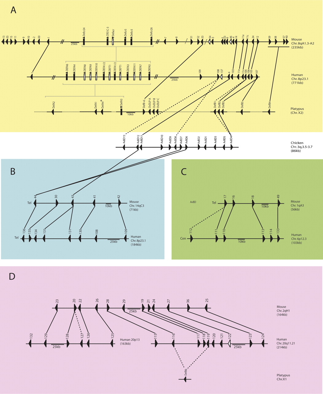 986fig3