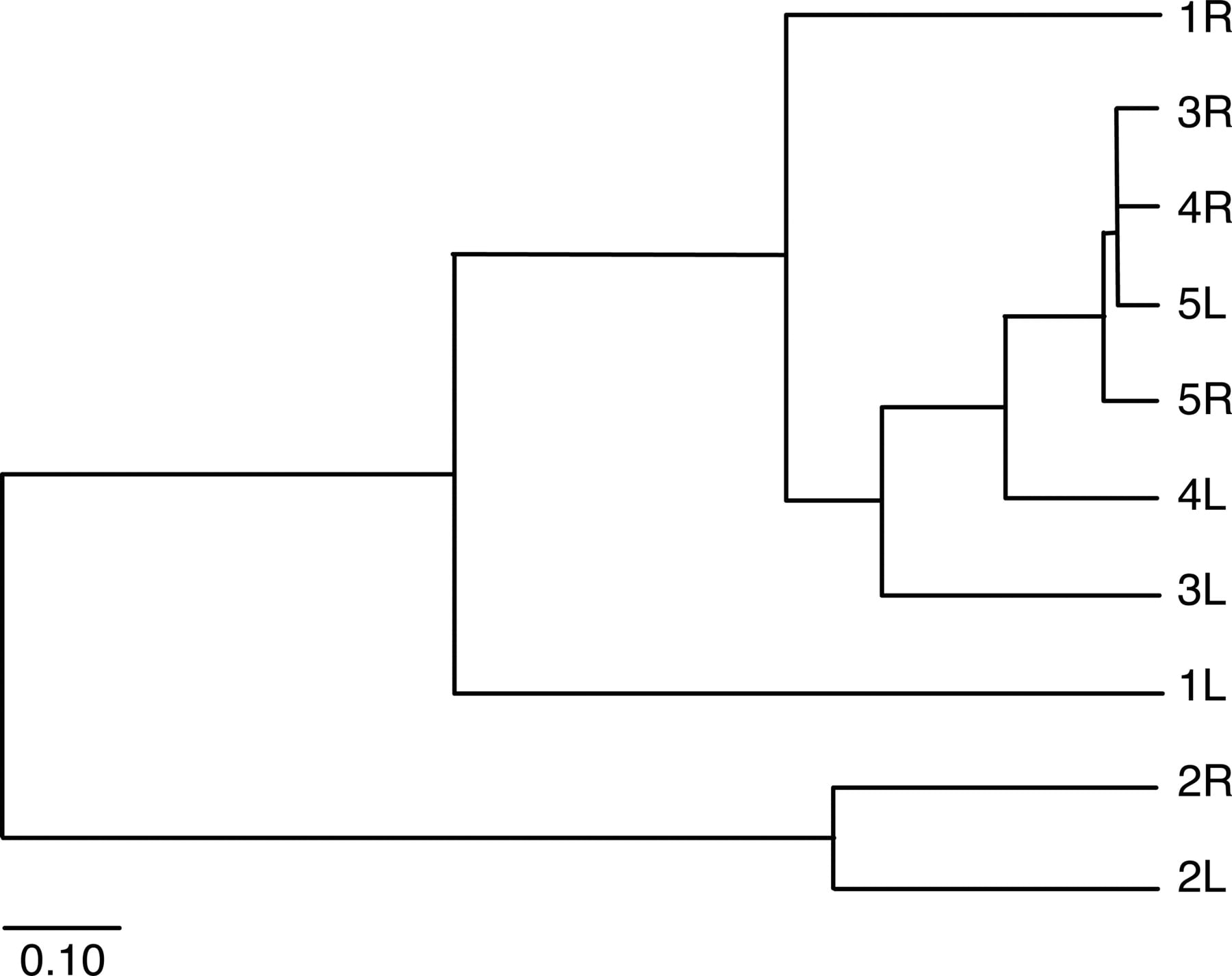 1043fig4