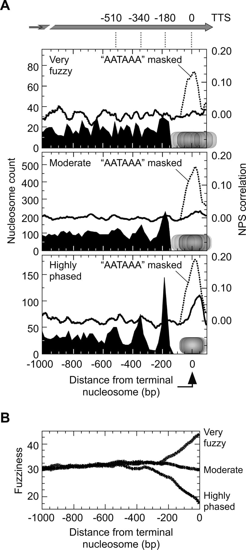1073fig4