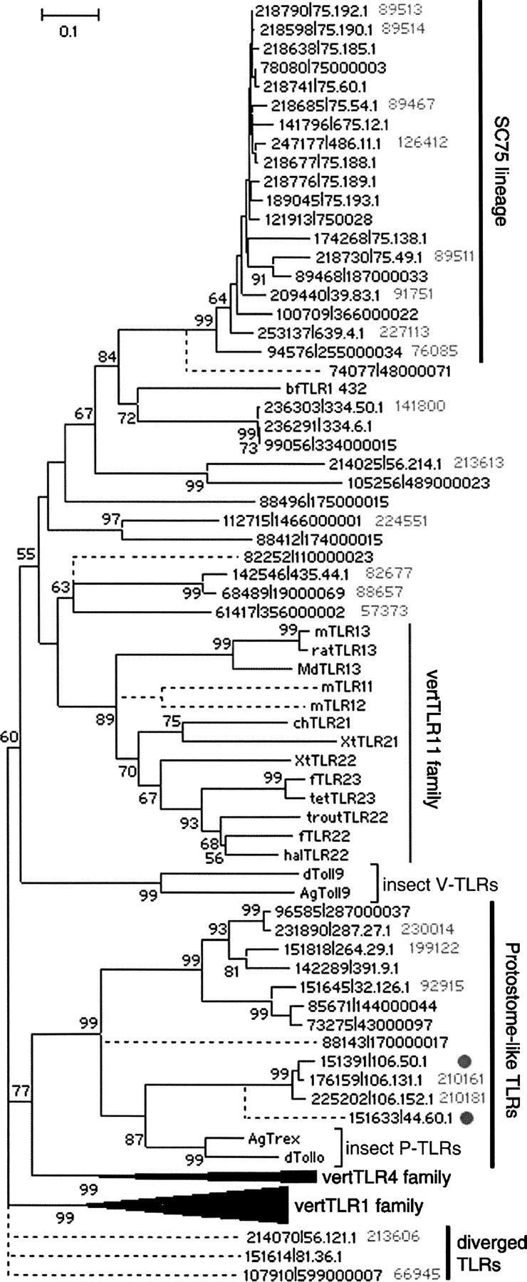 1112fig1