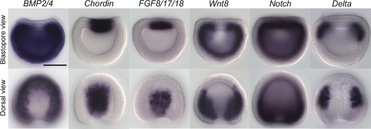 1127fig1