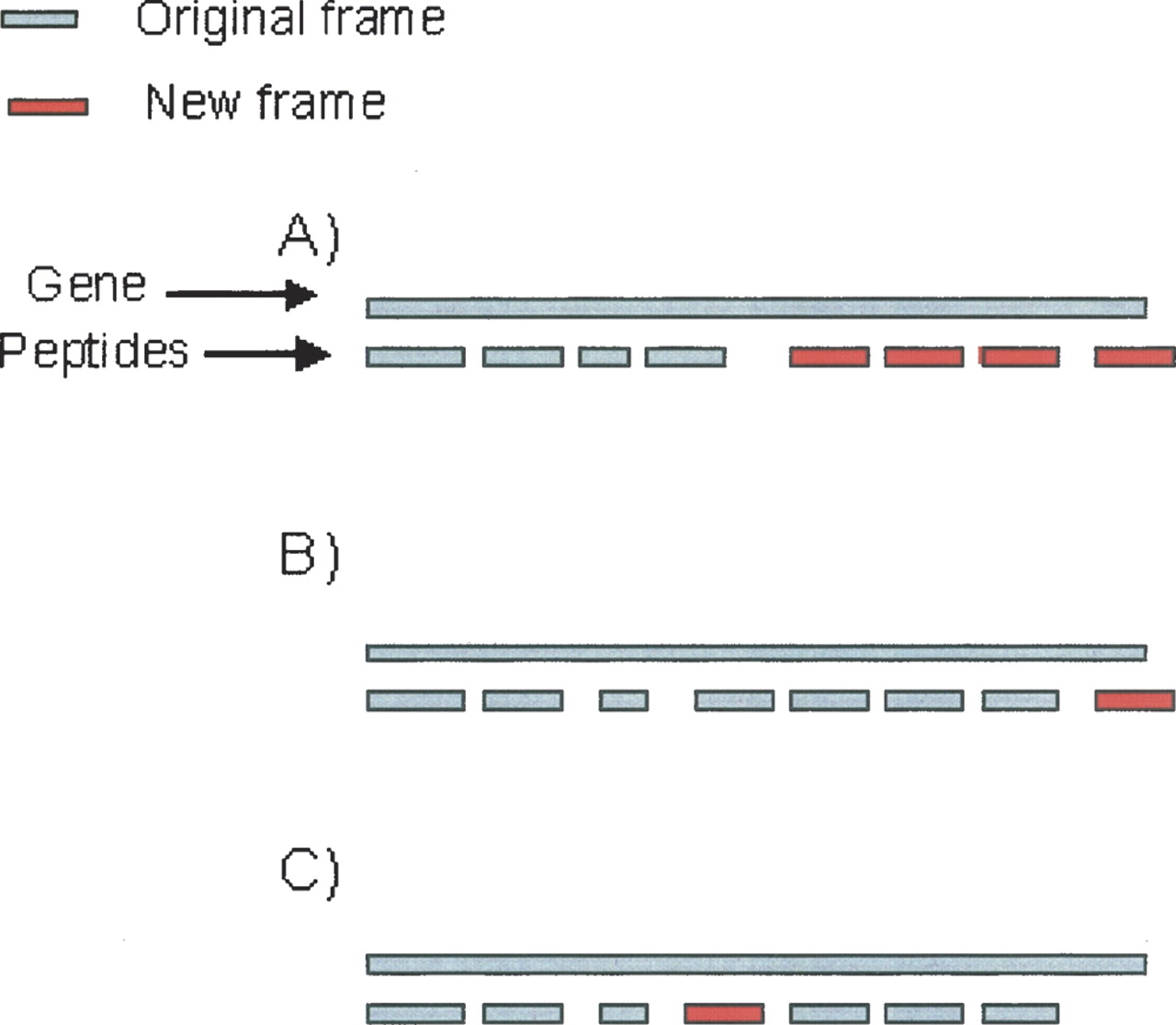 1133fig3
