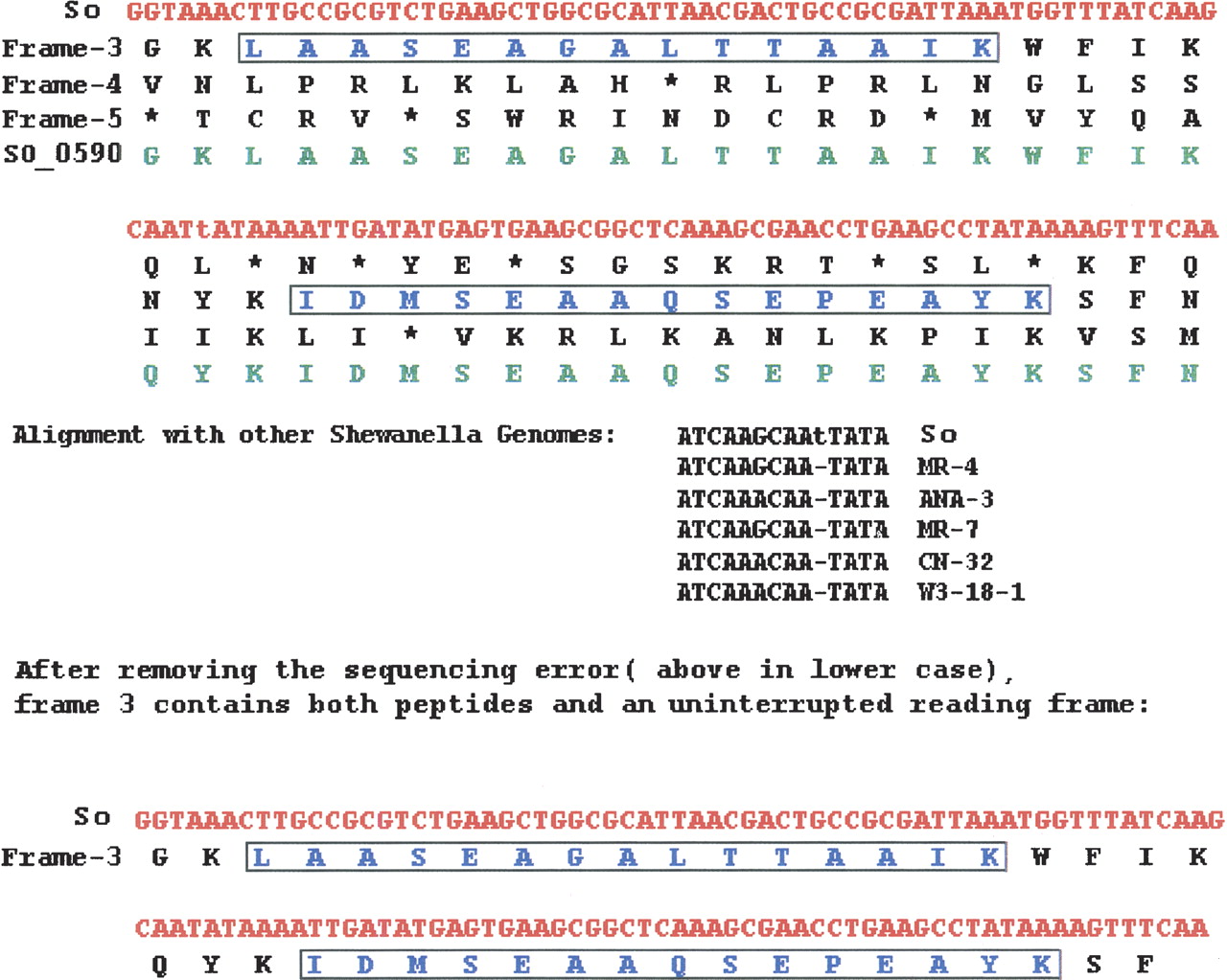 1133fig4