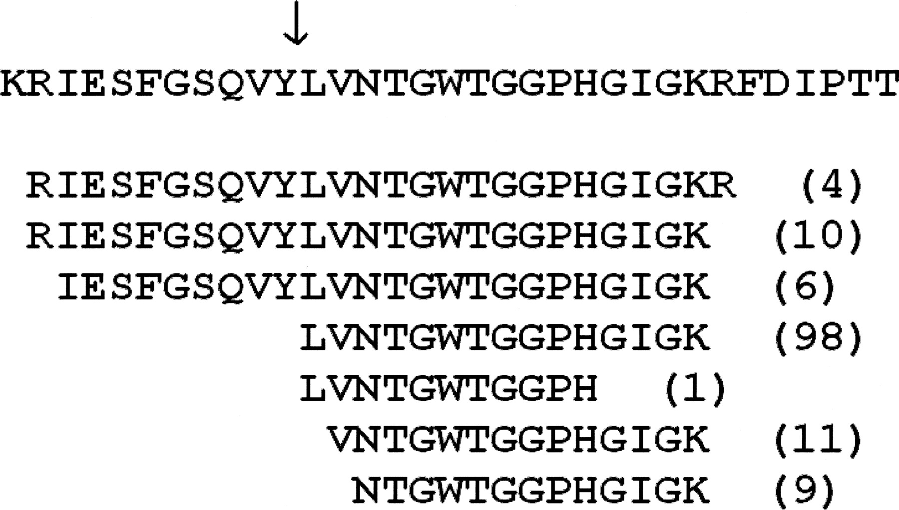 1133fig6