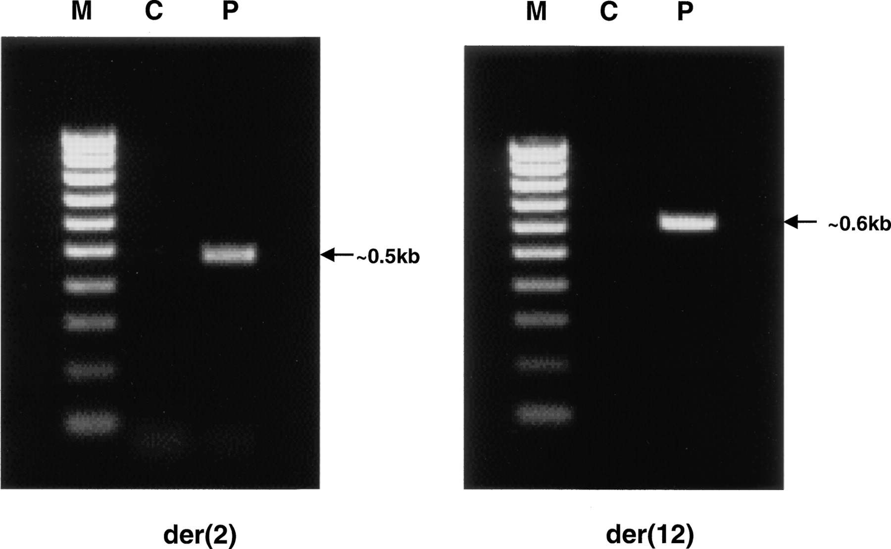 1143fig4