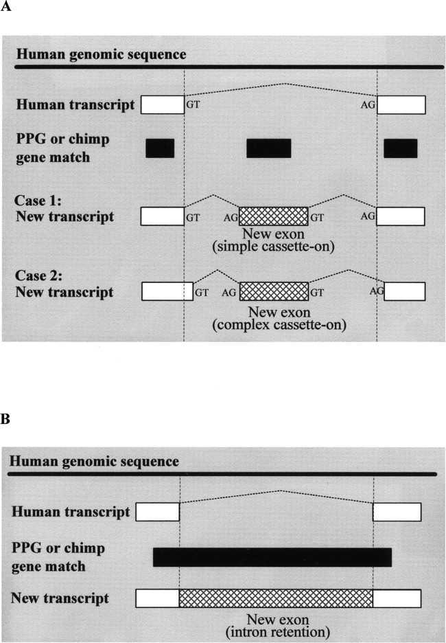 1163fig2