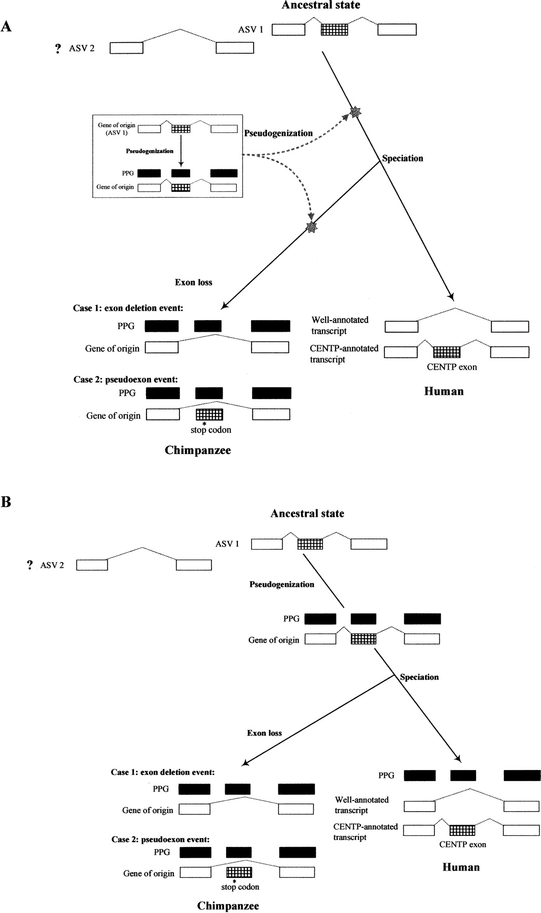 1163fig4