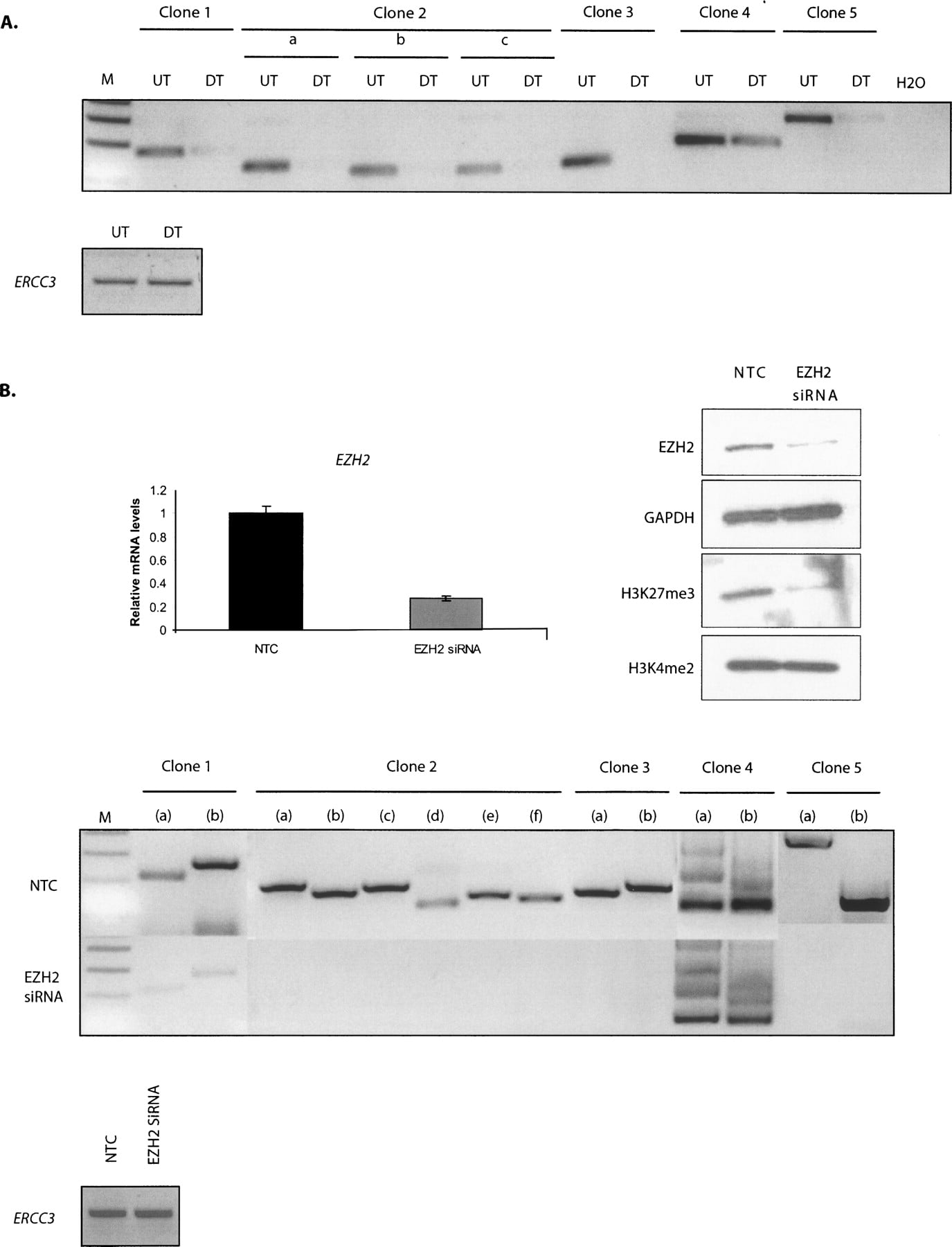 1171fig2