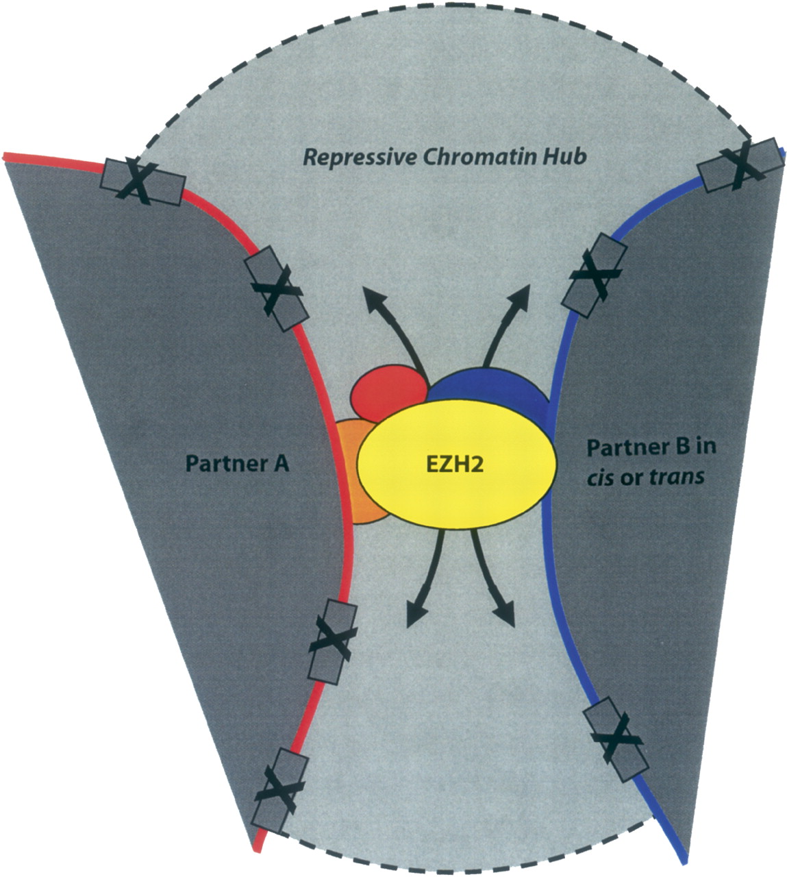 1171fig4