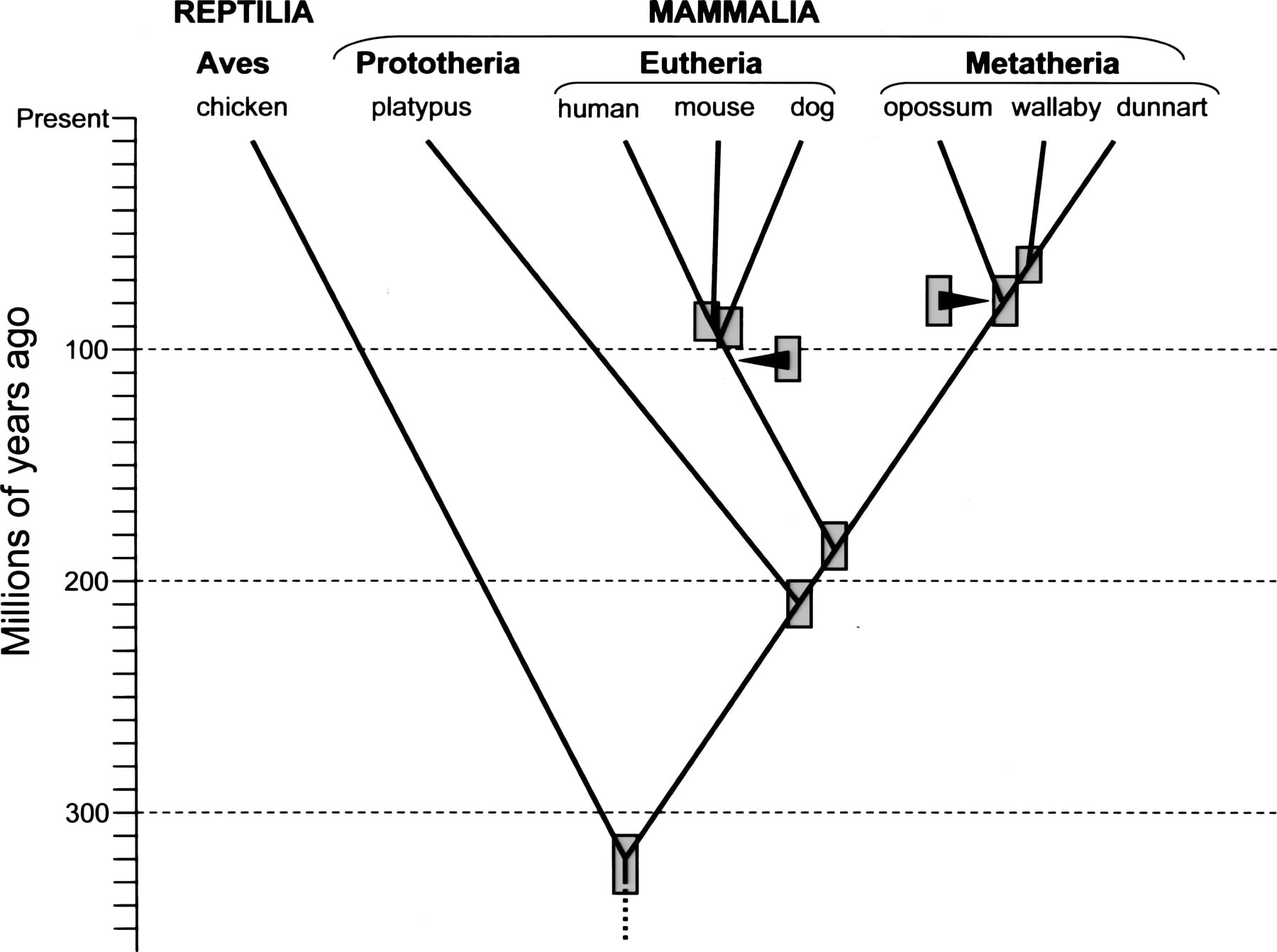 1199fig1