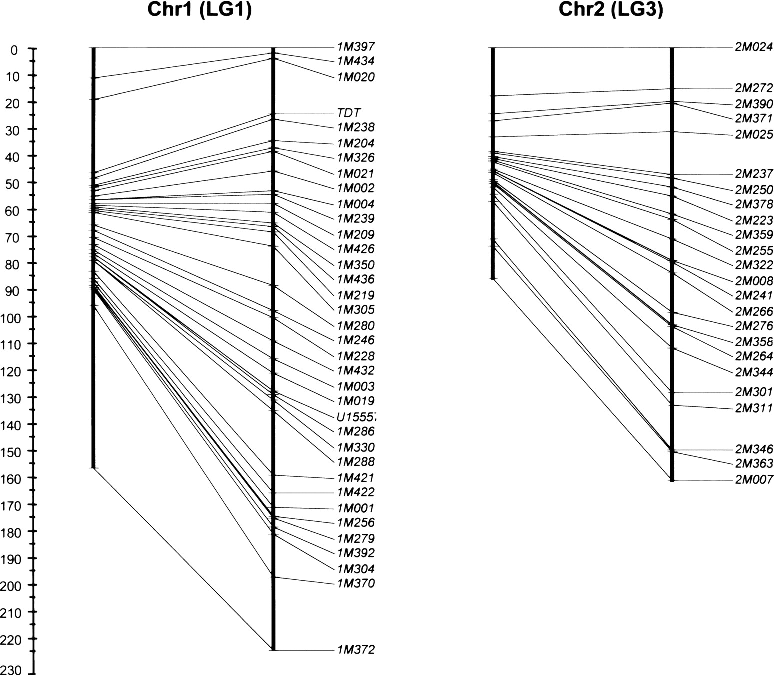 1199fig3