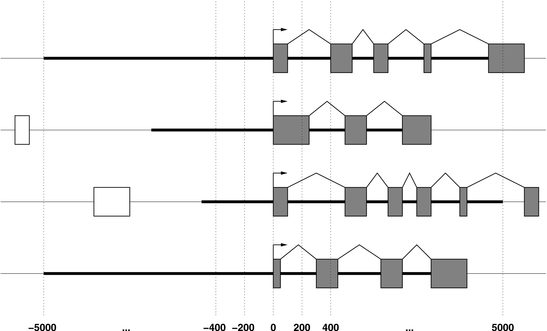 1216fig1