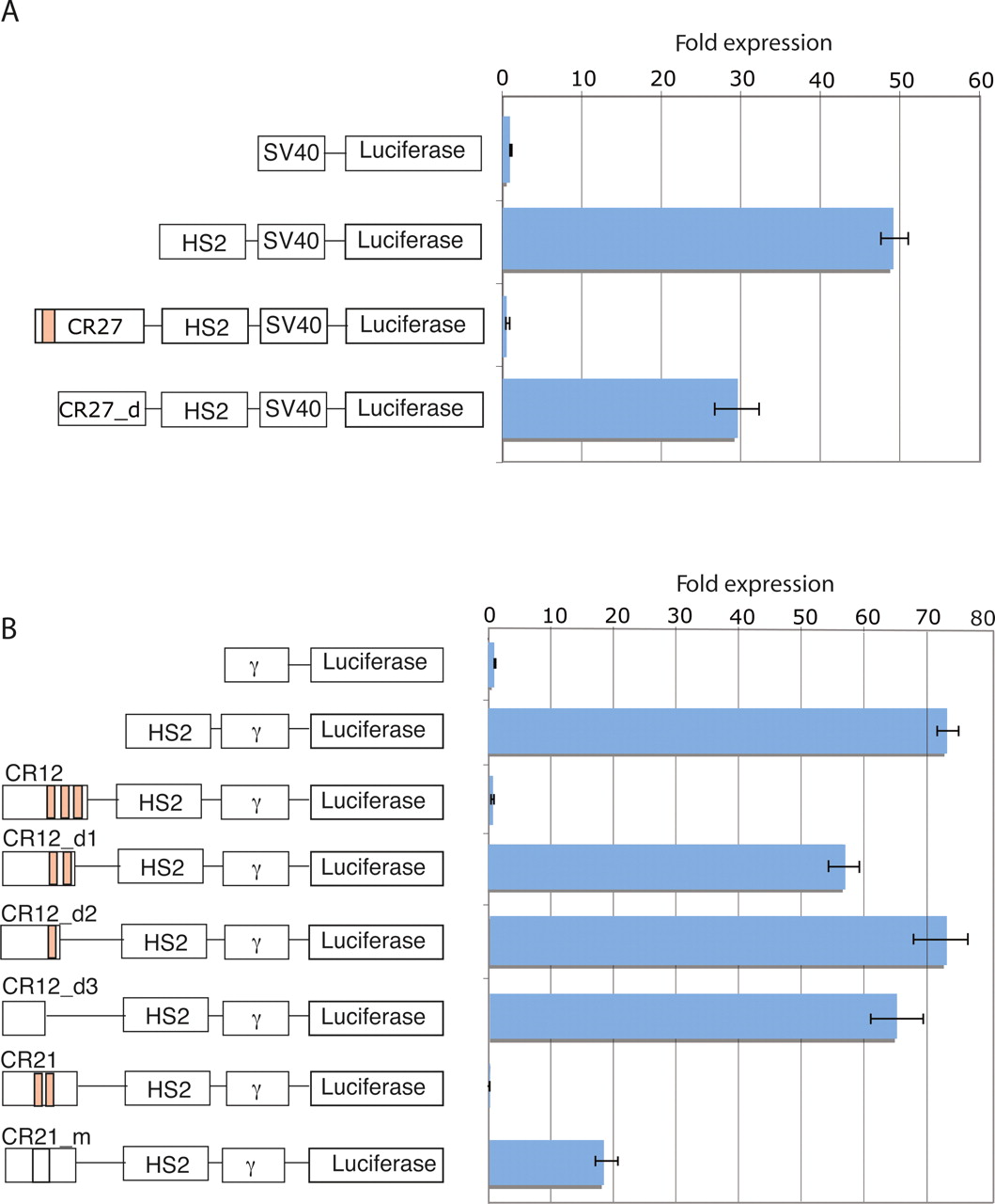 1238fig6