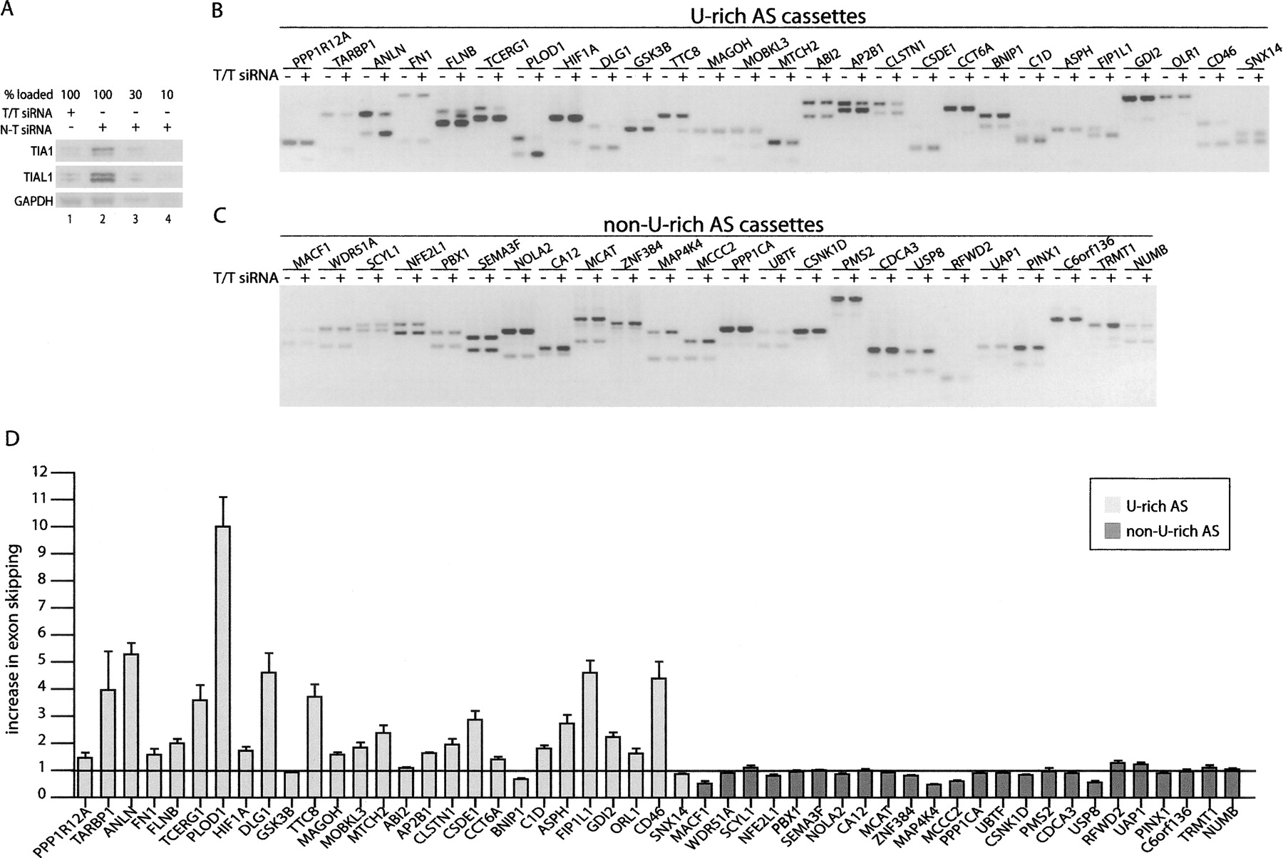 1247fig3