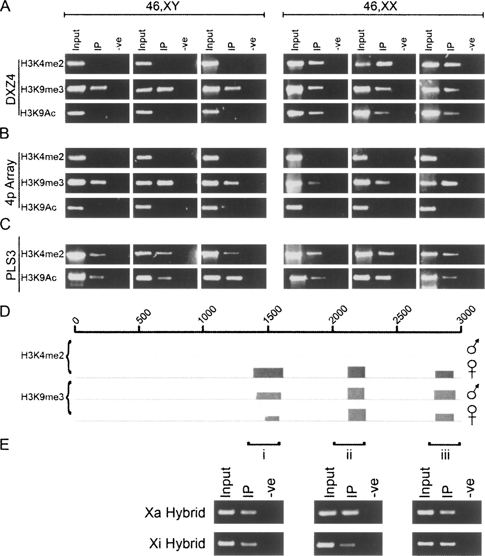 1259fig1