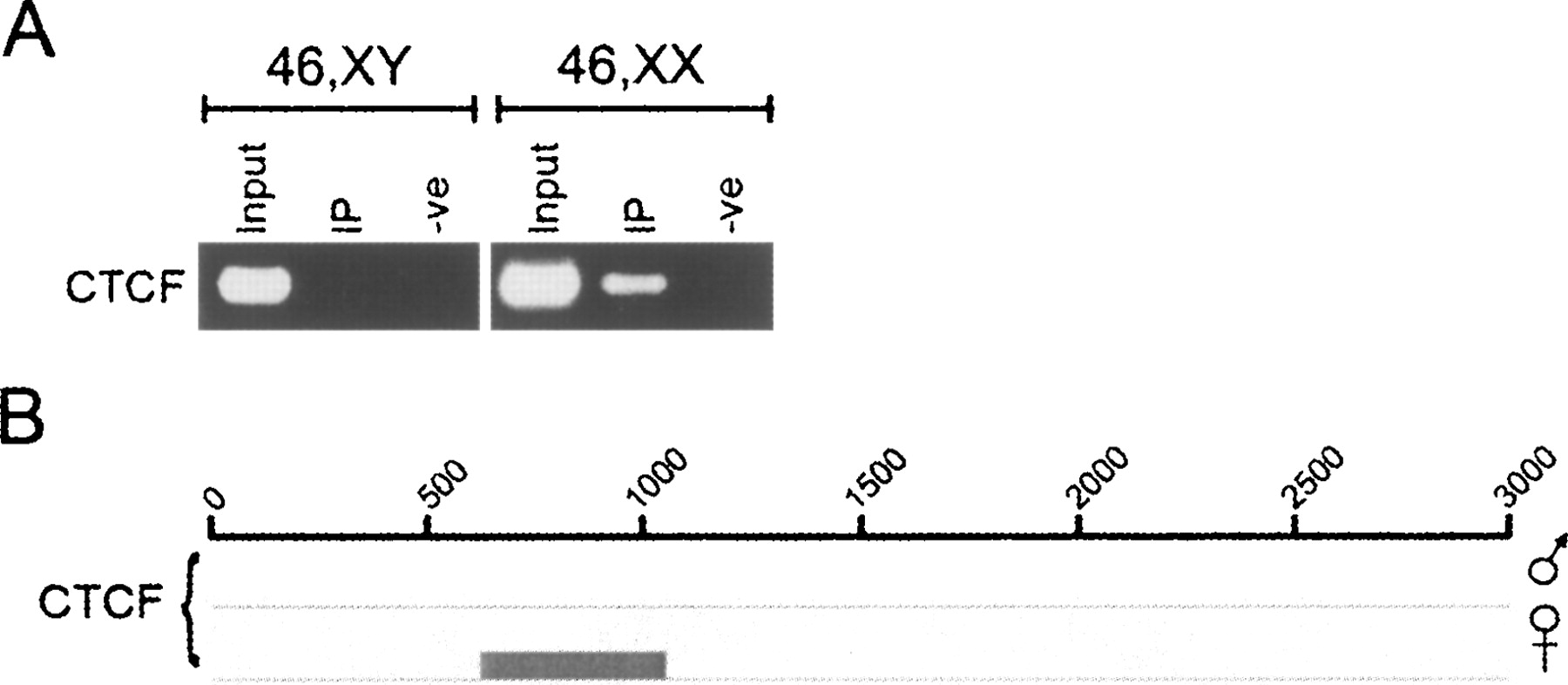 1259fig4