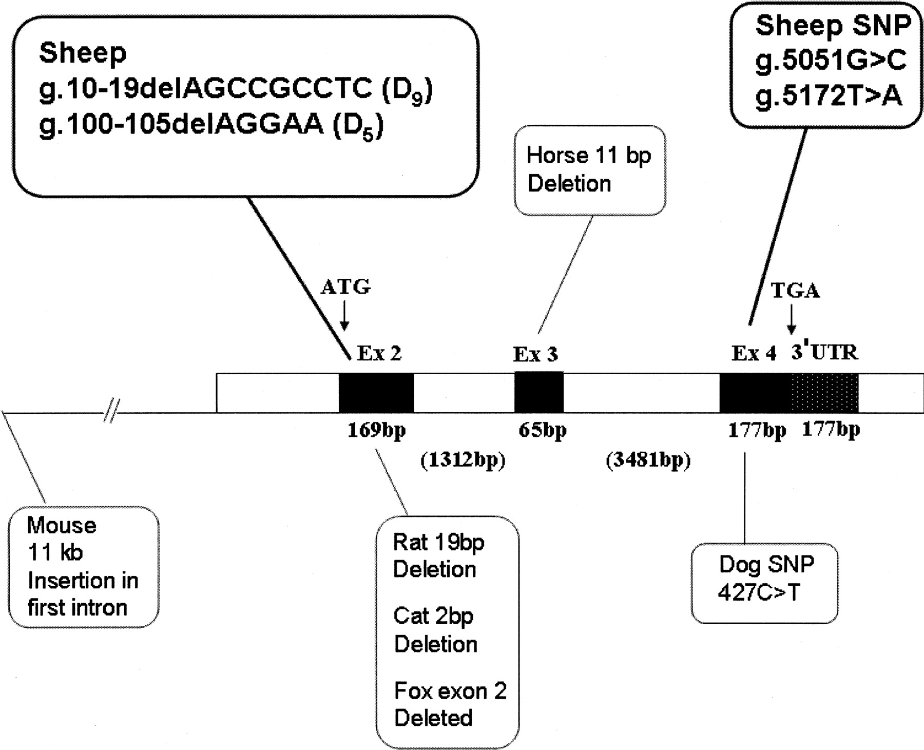 1282fig1