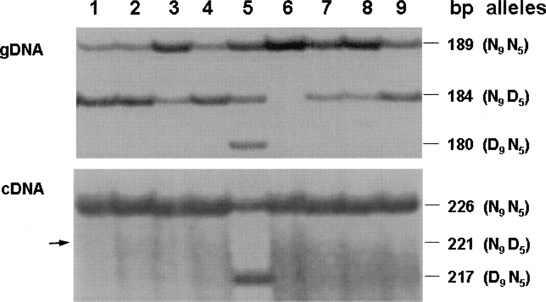 1282fig3