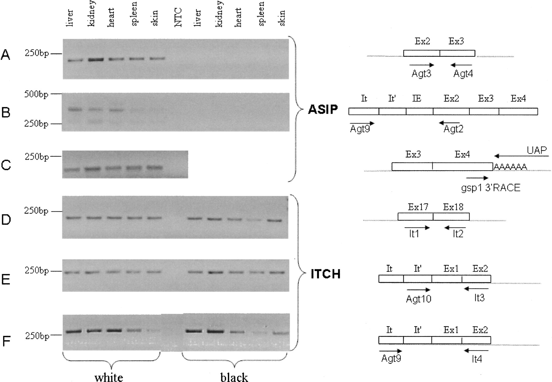 1282fig4